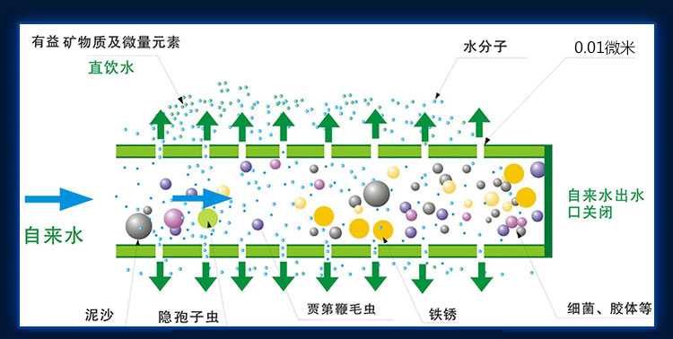 家庭净水器排名